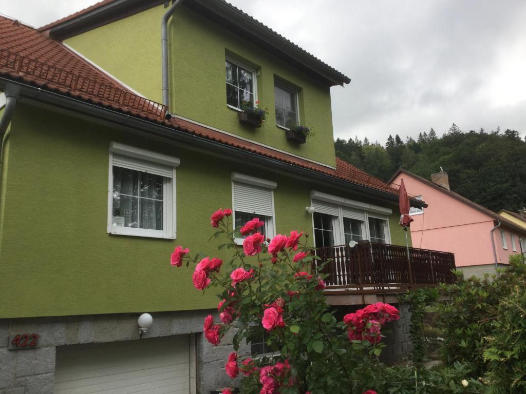 Apartman U Hanicky room 1